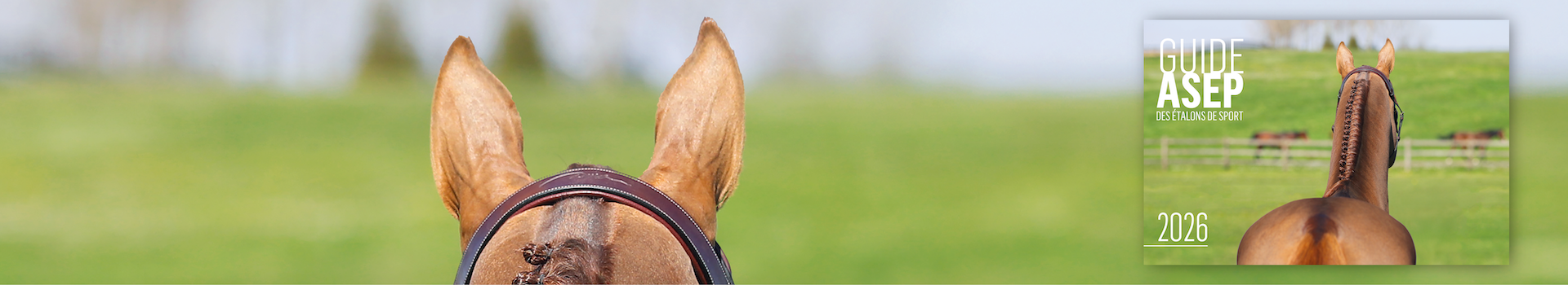 Magazine : GUIDE ASEP 2026