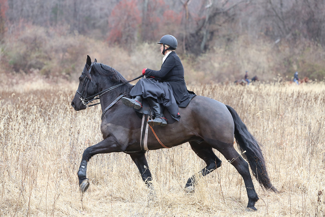 Meet The Headless Horse(wo)man Of Sleepy Hollow