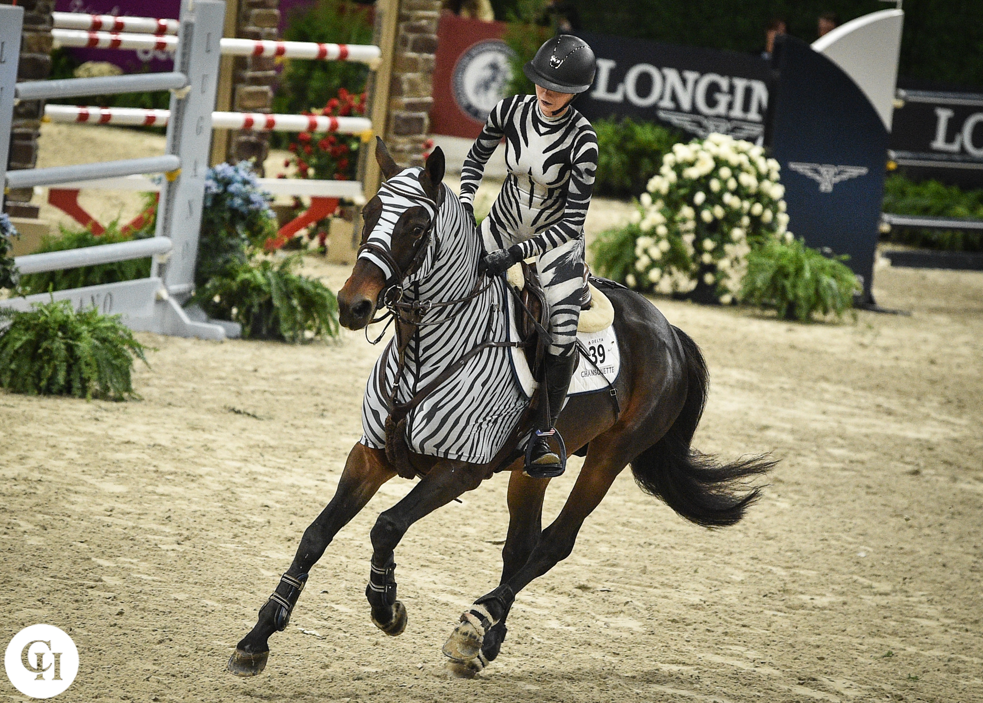 Zebra Riding Sport