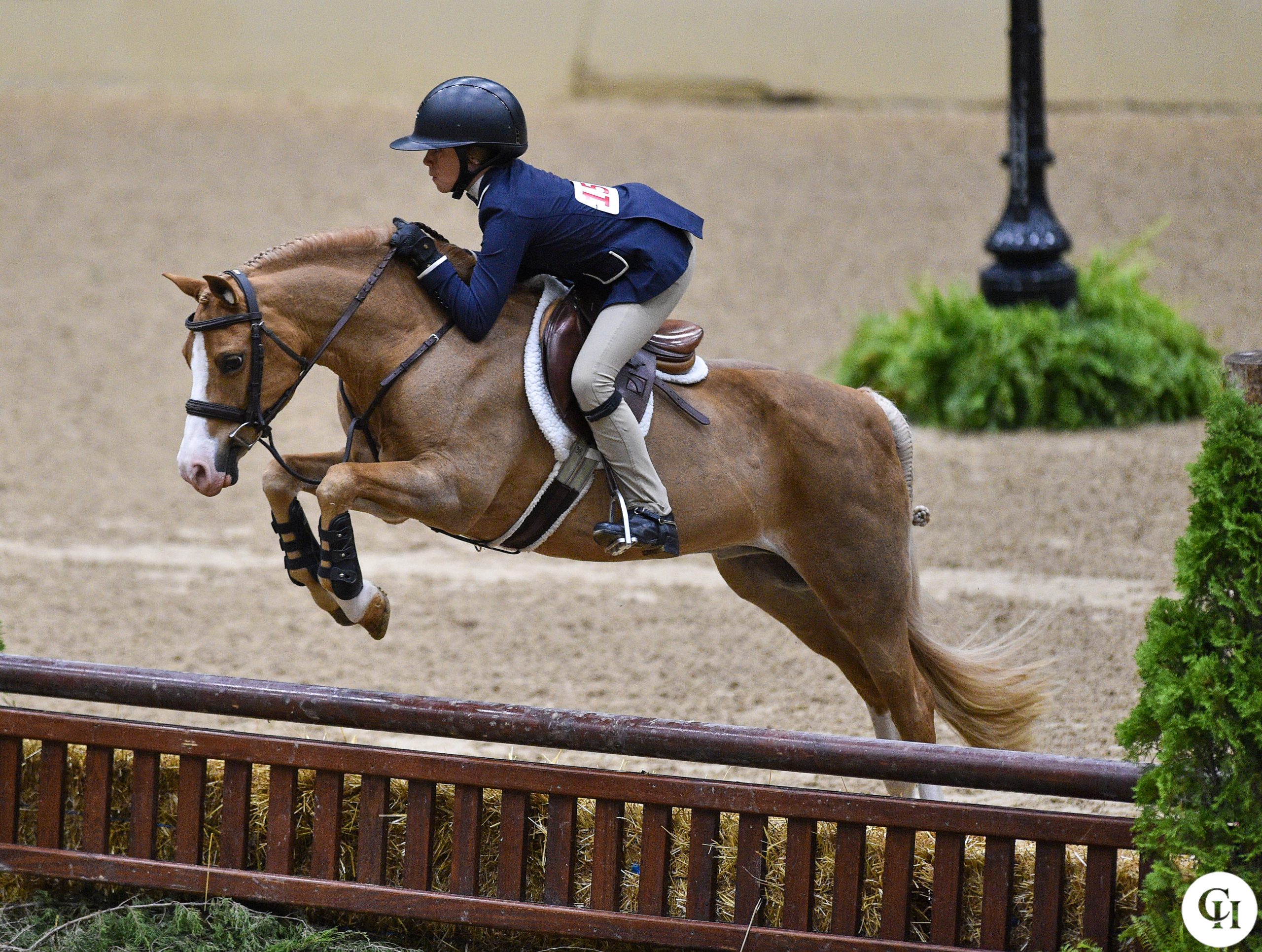 Korotkin Scores A Big Medal Win At USEF Pony Finals