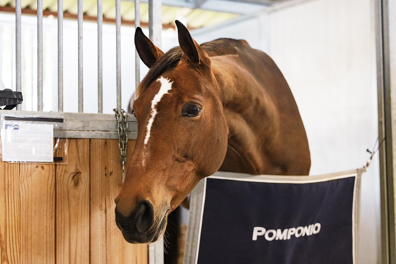 Behind The Stall Door With: Kalinka Van't Zorgvliet