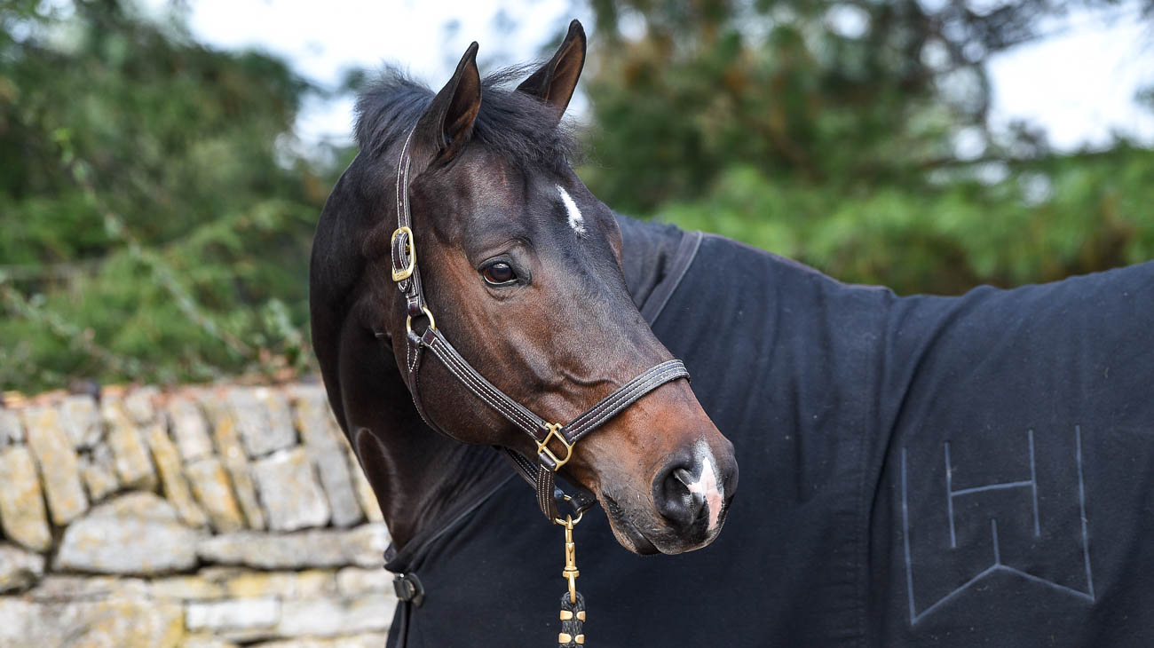 Behind The Stall Door With: Spoken