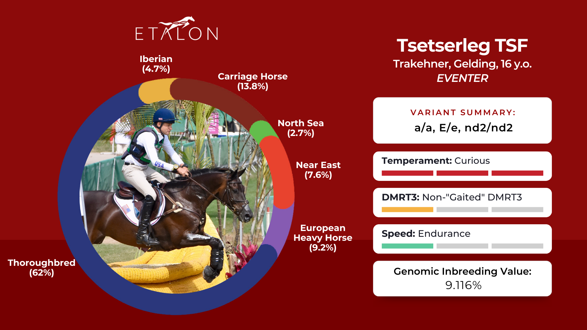 Inside Your Equine Athlete - Understanding the Genetics of Performance