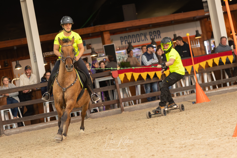 Afbeelding met sport, paard, persoon, rijden

Door AI gegenereerde inhoud is mogelijk onjuist.