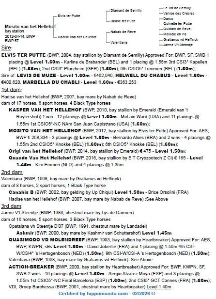 BT pedigree Mosito van het Hellehof
