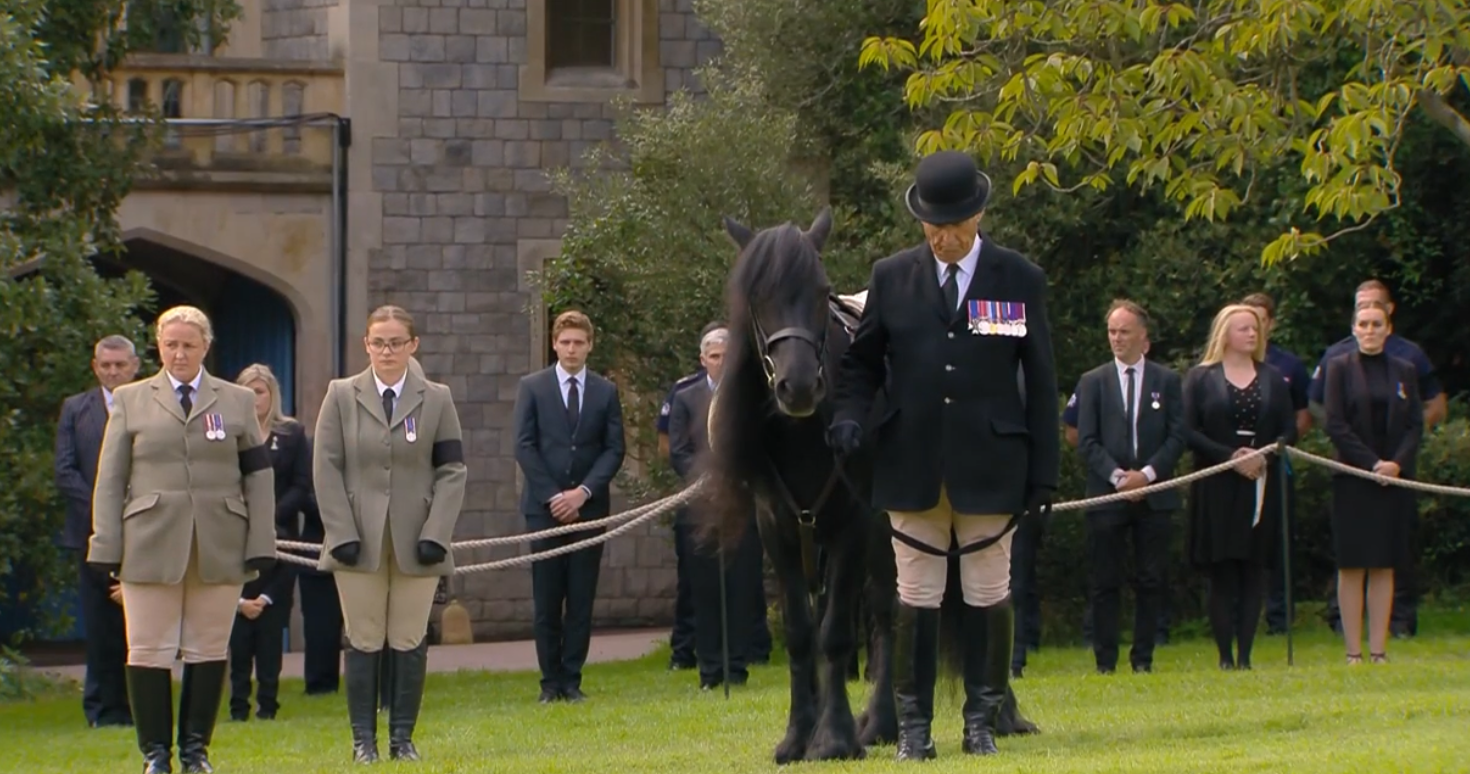 Elizabeth II’s favorite pony faces the funeral procession in Windsor